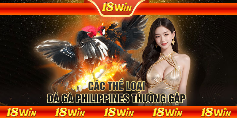 Các thể loại đá gà Philippines thường gặp