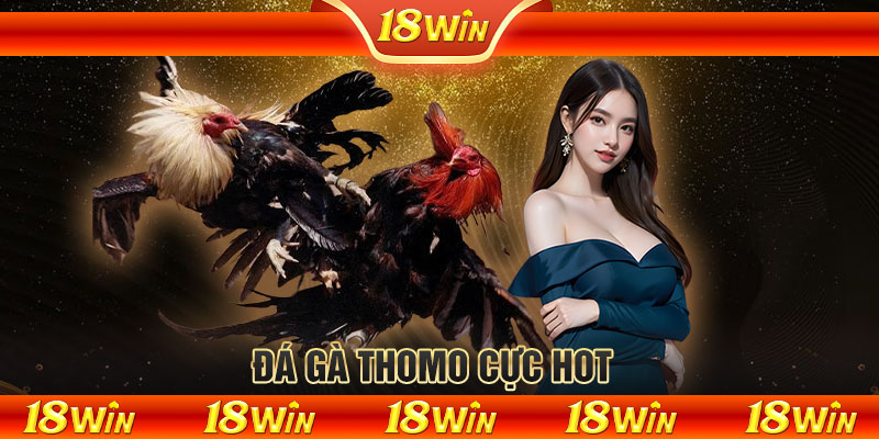  Đá gà Thomo cực hot