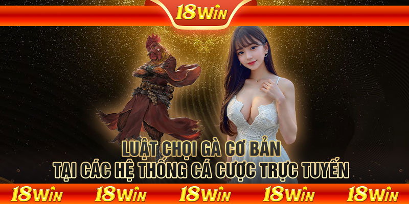 Luật chọi gà cơ bản tại các hệ thống cá cược trực tuyến